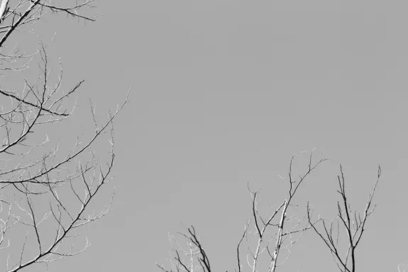 XCasino Kasíno Podpora